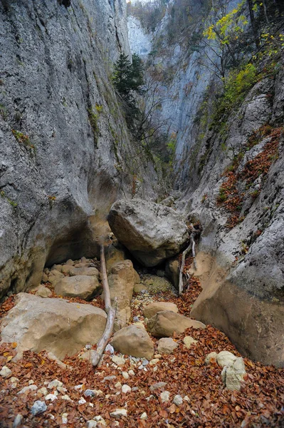 山川在森林和山地 克里米亚大峡谷 — 图库照片