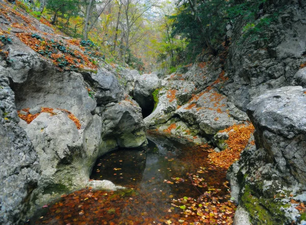 Fiume Montagna Nel Bosco Terreno Montagna Crimea Grande Canyon — Foto Stock