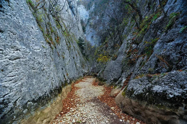 森林や山の地形で山の川 クリミア グランドキャニオン — ストック写真