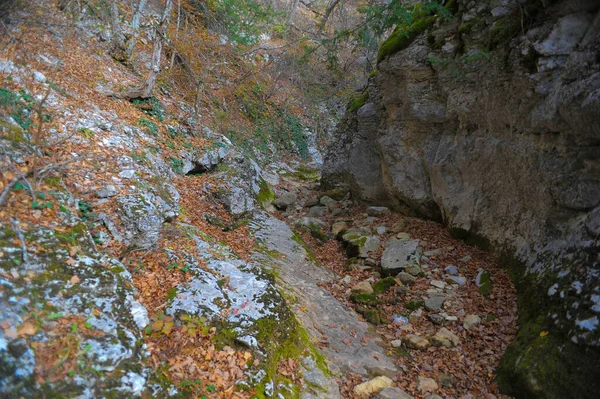 Fiume Montagna Nel Bosco Terreno Montagna Crimea Grande Canyon — Foto Stock