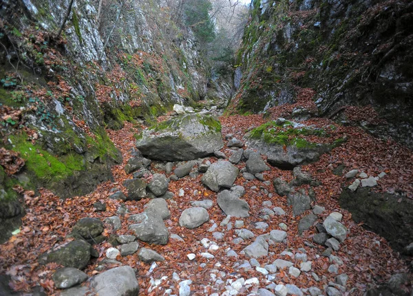 森林や山の地形で山の川 クリミア グランドキャニオン — ストック写真