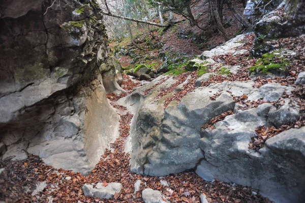 森林や山の地形で山の川 クリミア グランドキャニオン — ストック写真