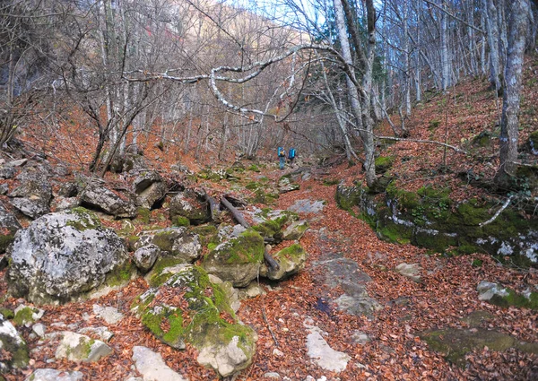 Gebirgsfluss Wald Und Gebirgslandschaft Die Krim Als Grand Canyon — Stockfoto