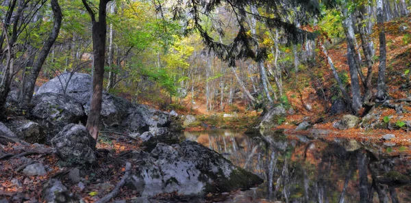 Rio Montanha Terreno Floresta Montanha Crimeia Grand Canyon — Fotografia de Stock