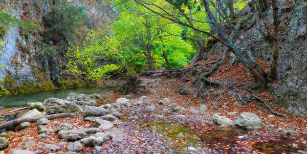 森林や山の地形で山の川 クリミア グランドキャニオン — ストック写真