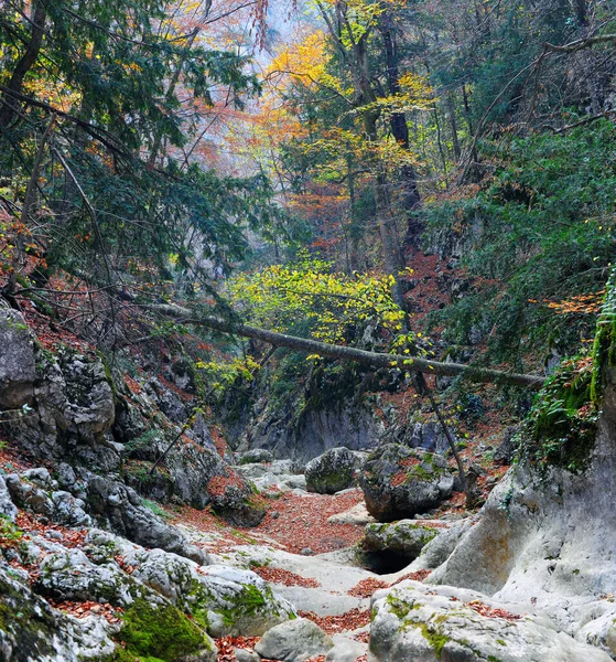 山川在森林和山地 克里米亚大峡谷 — 图库照片