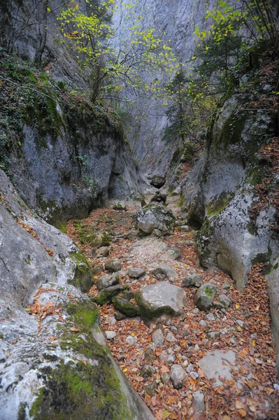 Río Montaña Bosque Terreno Montañoso Crimea Gran Cañón Imagen De Stock