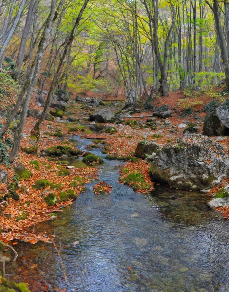 森林や山の地形で山の川 クリミア グランドキャニオン ストック写真