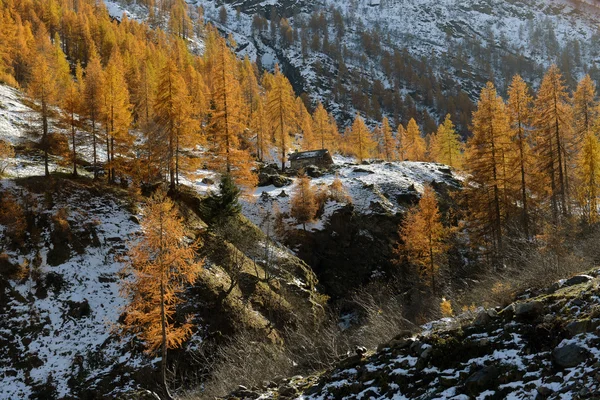 Осенний пейзаж в Альпах — стоковое фото
