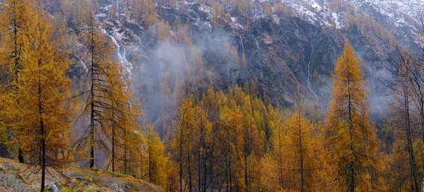 Herbstlandschaft in den Alpen — Stockfoto