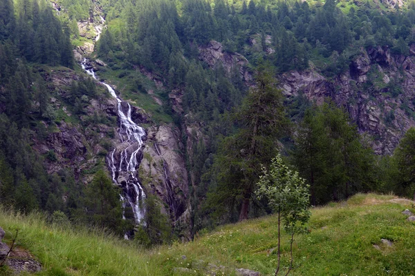 Wodospad w górach latem — Zdjęcie stockowe