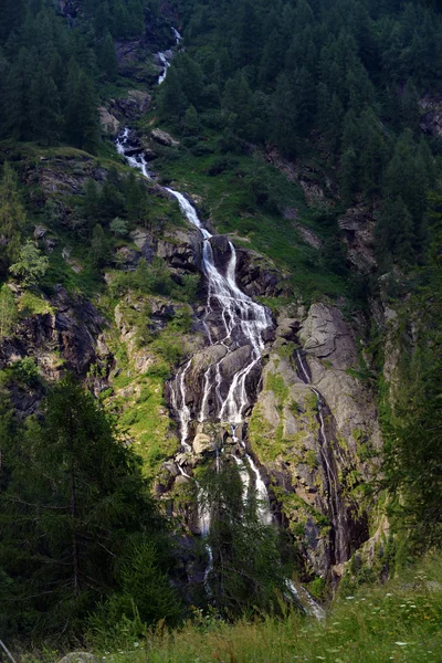 Cachoeira nas montanhas no verão — Fotografia de Stock