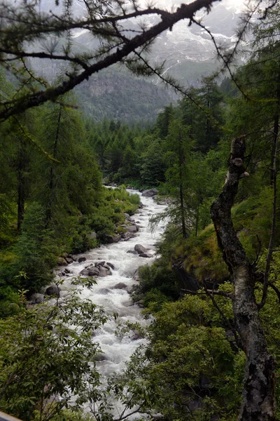 在阿尔卑斯山的山间溪流 — 图库照片