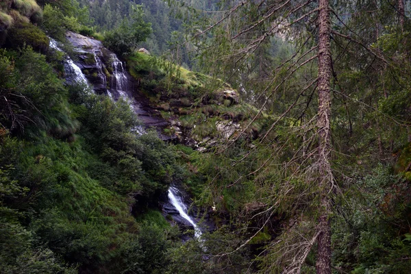 여름의 산악 지대에서의 폭포수 — 스톡 사진
