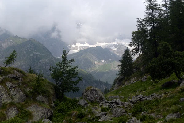 Vista para os picos de Monte Rosa — Fotografia de Stock