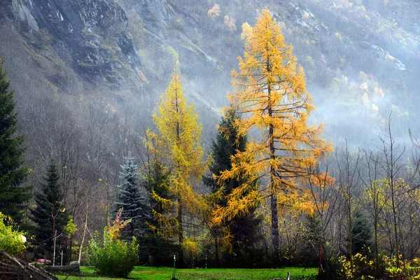 Paesaggio autunnale nelle Alpi — Foto Stock