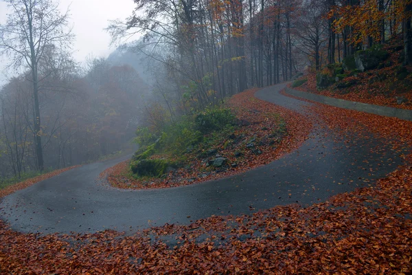 Strada di montagna nelle Alpi — Foto Stock