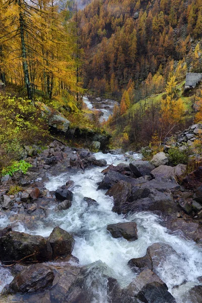 Herfst landschap in de Alpen — Stockfoto