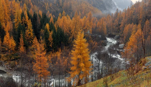 Paysage d'automne dans les Alpes — Photo