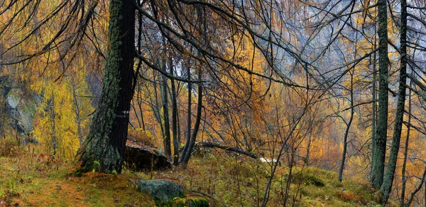 Őszi táj az Alpokban — Stock Fotó