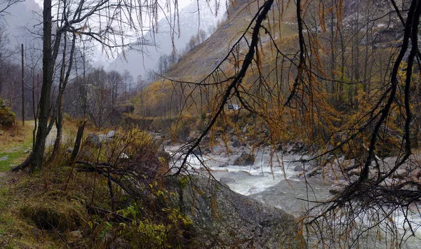 Höstlandskap i Alperna — Stockfoto