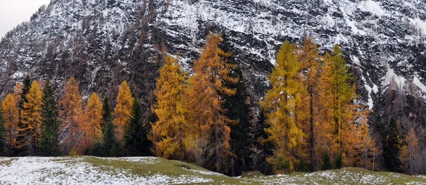 Paisaje otoñal en los Alpes — Foto de Stock