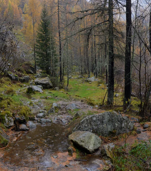 Herfst landschap in de Alpen — Stockfoto