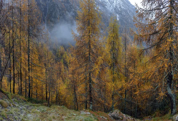 在阿尔卑斯山的秋景 — 图库照片
