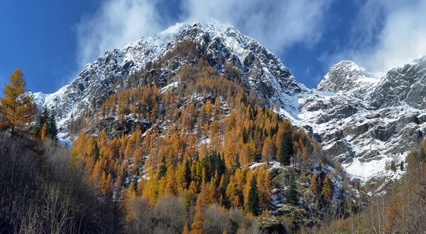 Høstlandskapet i Alpene – stockfoto