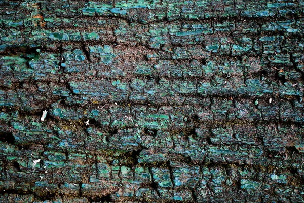 Textura Madeira Pintada Verde — Fotografia de Stock