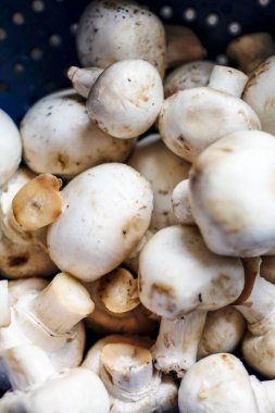 Pazarda taze mantarlar