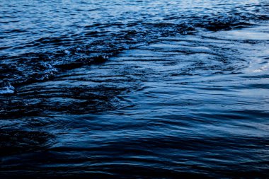 Doğal arkaplan, doğa duvar kağıdı. Kapatın.