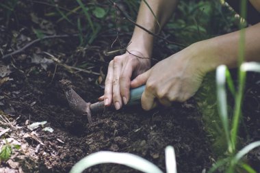 Bahçedeki bitkilerle toprağı tutan eller.