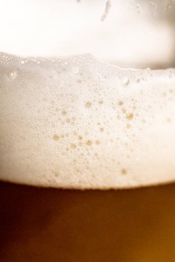 Bira beyaz arkaplanda bardakta