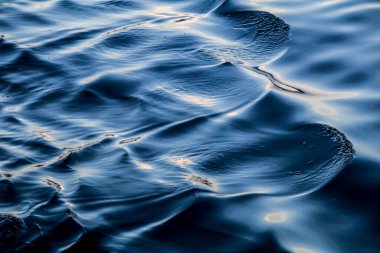 Doğal arkaplan, doğa duvar kağıdı. Kapatın.