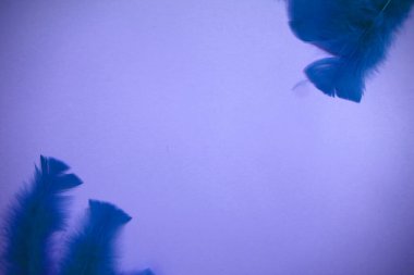 Çeşitli malzemelerle renkli arkaplanın üst görünümü