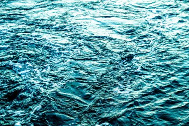 Doğal arkaplan, doğa duvar kağıdı. Kapatın.