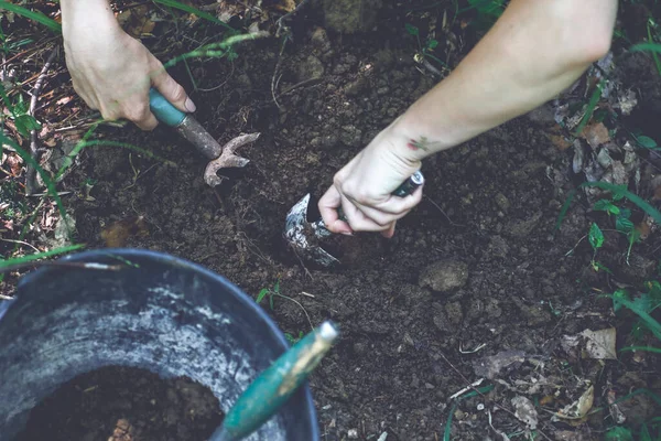 Mão Mulher Plantando Flores Jardim — Fotografia de Stock