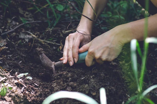Mãos Segurando Solo Com Plantas Jardim — Fotografia de Stock