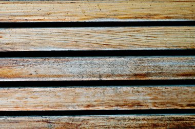 Doğal arkaplan, doğa duvar kağıdı. Kapatın.