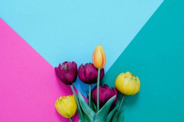 Pembe laleler ve kağıt. Arka planda bahar çiçekleri var.