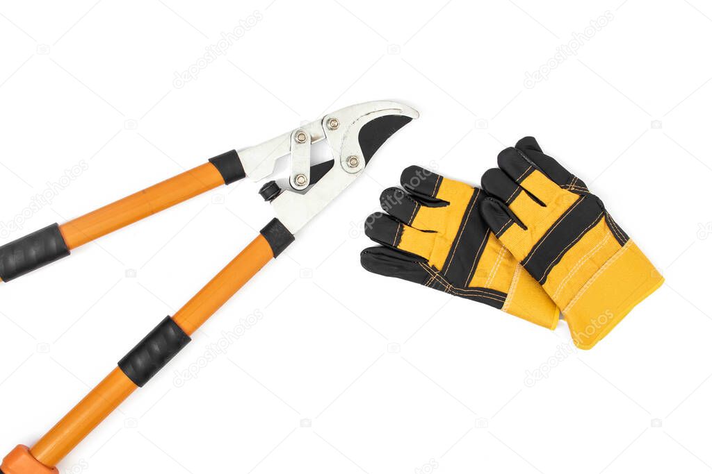 modern bright minimal flat lay top view photo of black and yellow gloves and big garden pruner on white background with copy space