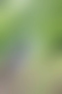 dijital güzel soyut tasarım, desenli duvar kağıdı