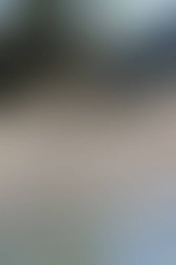 dijital güzel soyut tasarım, desenli duvar kağıdı