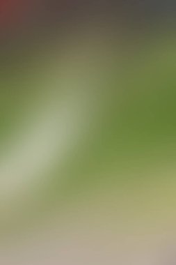 dijital güzel soyut tasarım, desenli duvar kağıdı