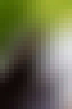 arkaplan, yaratıcı ve tasarım sanat dokusu için soyut renkli desen