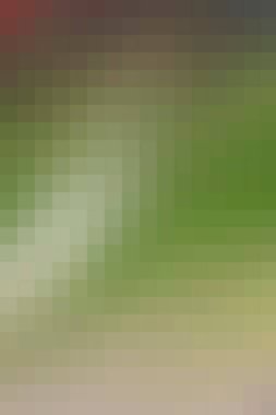 arkaplan, yaratıcı ve tasarım sanat dokusu için soyut renkli desen