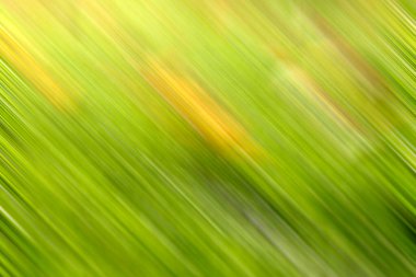 Soyut modern duvar kağıdı, kopyalama alanı olan yaratıcı arkaplan 