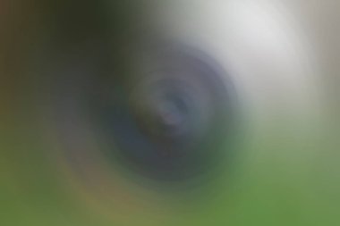 Kopyalama alanı için renksiz grafik arkaplanı