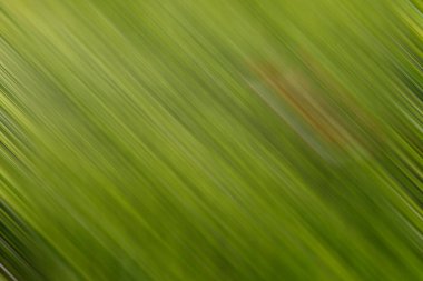 Soyut modern duvar kağıdı, kopyalama alanı olan yaratıcı arkaplan 